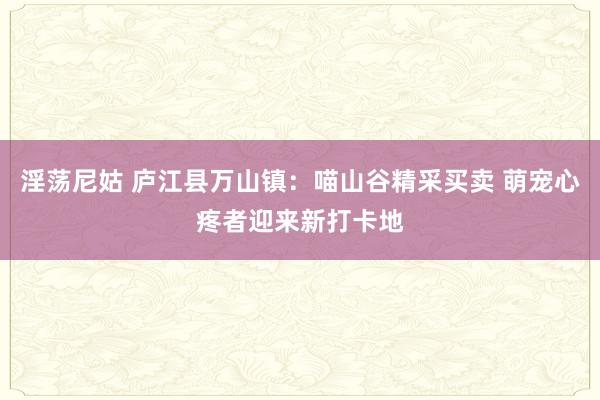 淫荡尼姑 庐江县万山镇：喵山谷精采买卖 萌宠心疼者迎来新打卡地