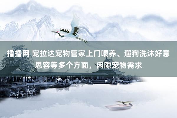 撸撸网 宠拉达宠物管家上门喂养、遛狗洗沐好意思容等多个方面，闲隙宠物需求
