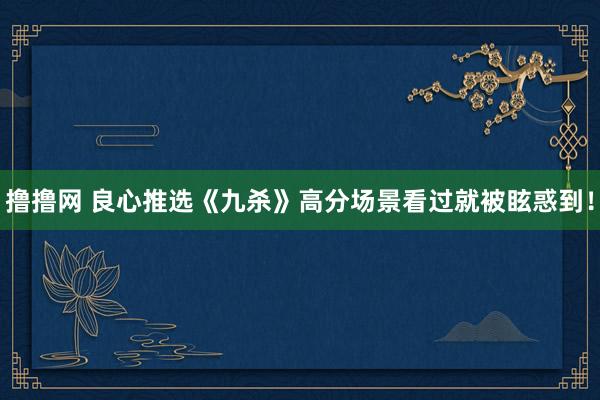 撸撸网 良心推选《九杀》高分场景看过就被眩惑到！