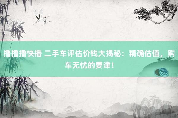 撸撸撸快播 二手车评估价钱大揭秘：精确估值，购车无忧的要津！