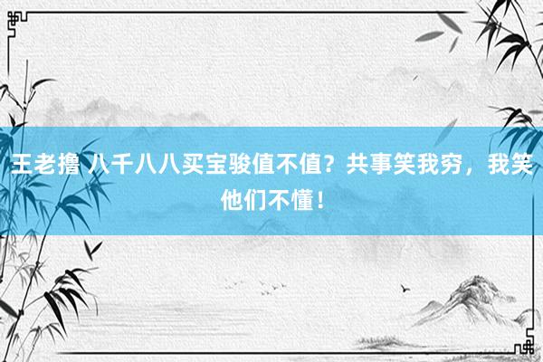 王老撸 八千八八买宝骏值不值？共事笑我穷，我笑他们不懂！
