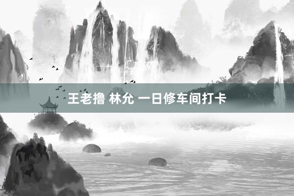 王老撸 林允 一日修车间打卡