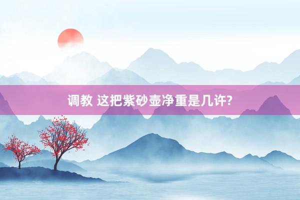 调教 这把紫砂壶净重是几许?