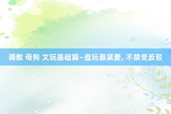 调教 母狗 文玩基础篇—盘玩最紧要， 不禁受反驳