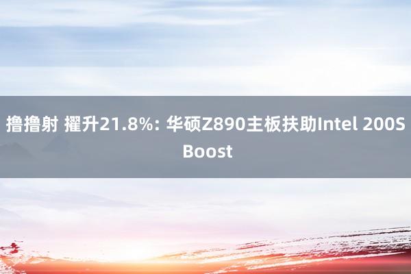 撸撸射 擢升21.8%: 华硕Z890主板扶助Intel 200S Boost