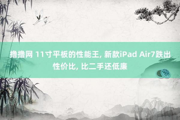 撸撸网 11寸平板的性能王， 新款iPad Air7跌出性价比， 比二手还低廉