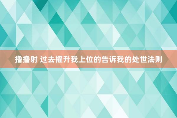 撸撸射 过去擢升我上位的告诉我的处世法则