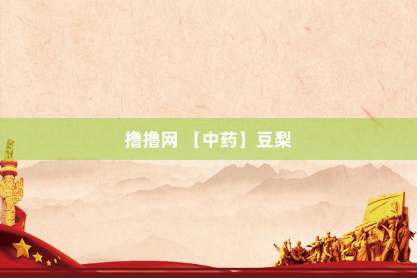 撸撸网 【中药】豆梨
