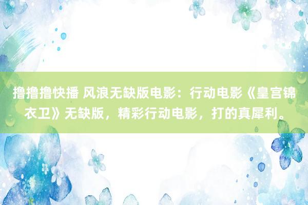 撸撸撸快播 风浪无缺版电影：行动电影《皇宫锦衣卫》无缺版，精彩行动电影，打的真犀利。